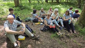 Picknick-Rast