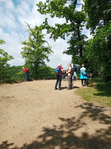 Die Ersten kommen auf dem Harrasfelsen an